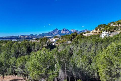 Terreno a Altea La Vella, Alicante, Spagna 818 mq. N° 197314