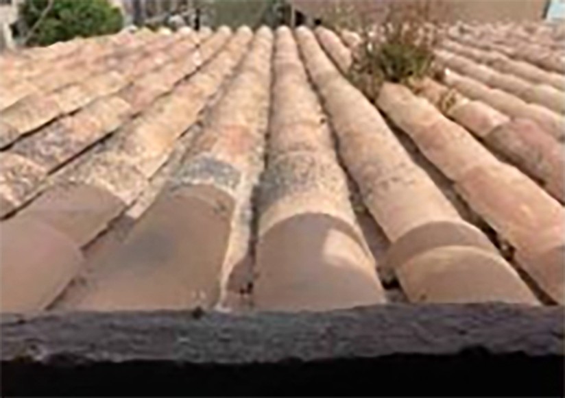 Liikekiinteistö Palma de Majorca, Mallorca, Espanja 372 m2 No. 198249