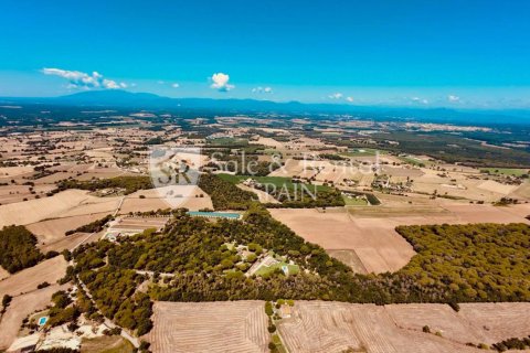 House in Girona, Spanien 7 Schlafzimmer, 615 m2 Nr. 166447