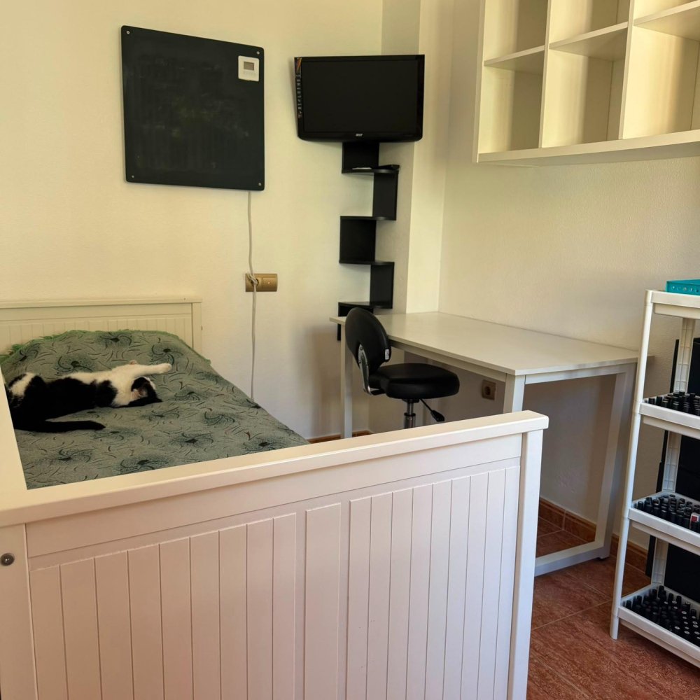 Bungalow a La Mata, Alicante, Spagna 3 camere da letto, 78 mq. N° 198306