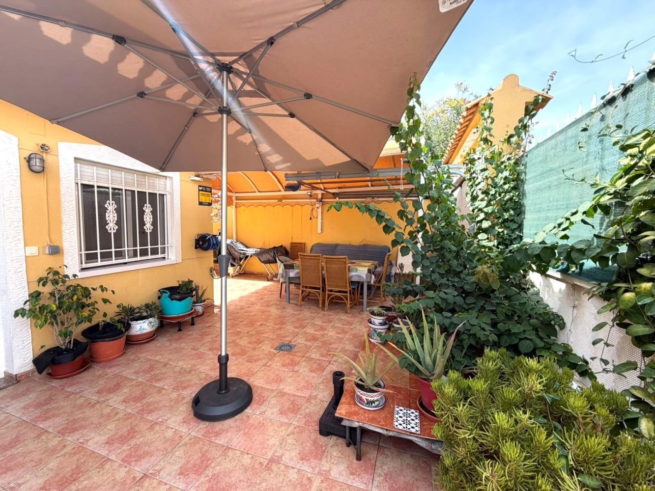 Bungalow à La Mata, Alicante, Espagne 3 chambres, 80 m2 No. 198044