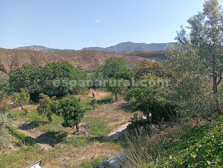 House in Purchena, Almeria, Spain 5 bedrooms, 127 sq.m. No. 198173