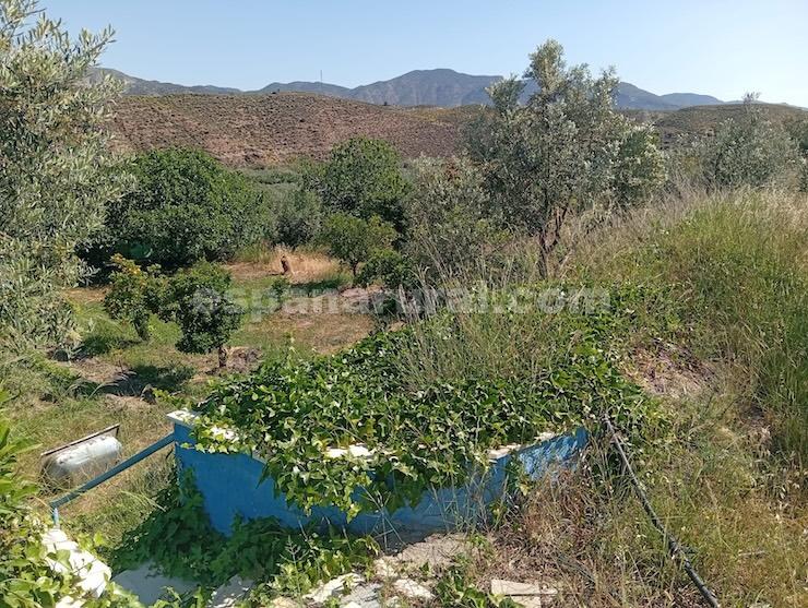House in Purchena, Almeria, Spain 5 bedrooms, 127 sq.m. No. 198173