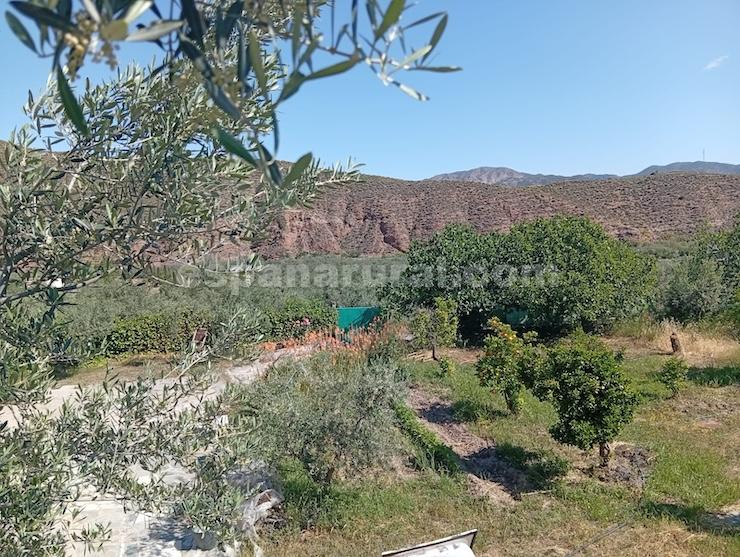 House in Purchena, Almeria, Spain 5 bedrooms, 127 sq.m. No. 198173