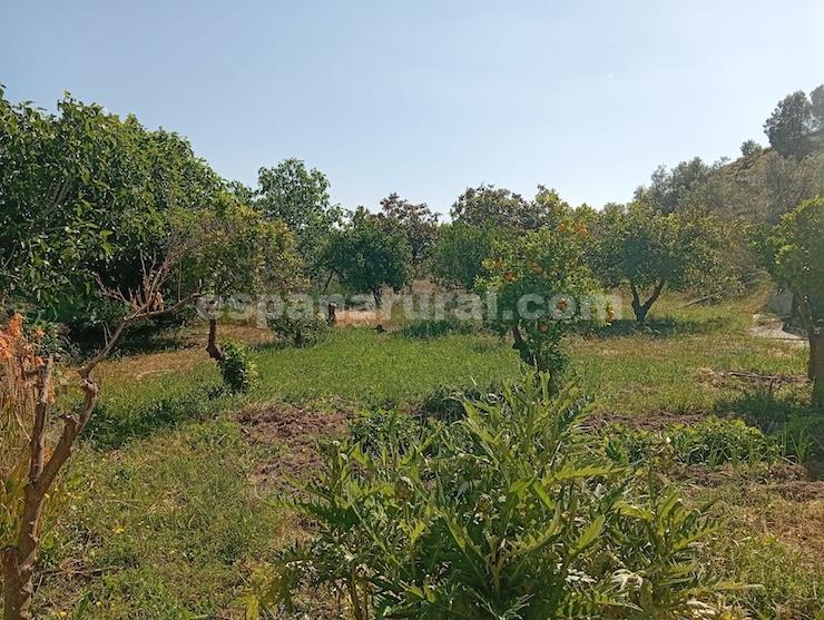 House in Purchena, Almeria, Spain 5 bedrooms, 127 sq.m. No. 198173
