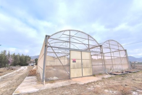 Коммерческая недвижимость в Аспе, Аликанте, Испания 972м2 №198934