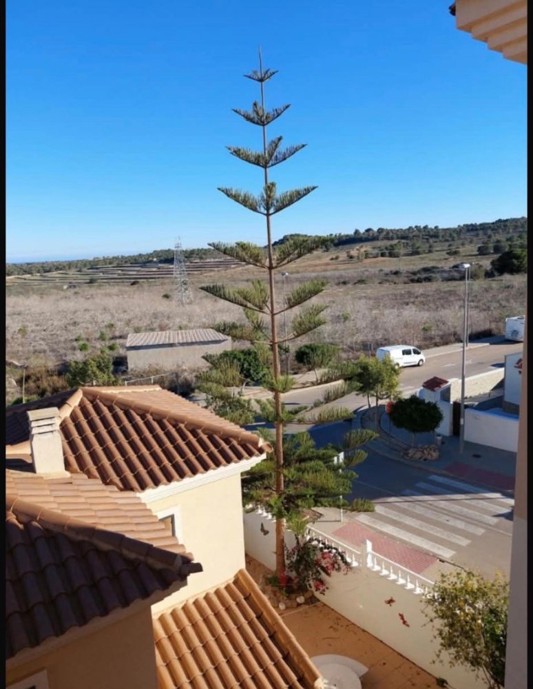 Paritalo San Miguel de Salinas, Alicante, Espanja 2 makuuhuonetta, 140 m2 No. 199024