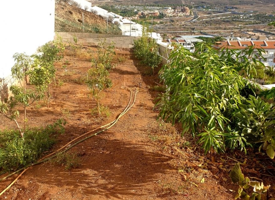 Dzīvoklis Los Cristianos, Tenerife, Spānijā 3 istabas, 144 m2 Nr. 199909