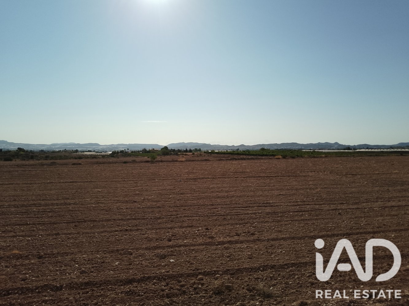 Land plot à Novelda, Alicante, Espagne 75381 m2 No. 198664