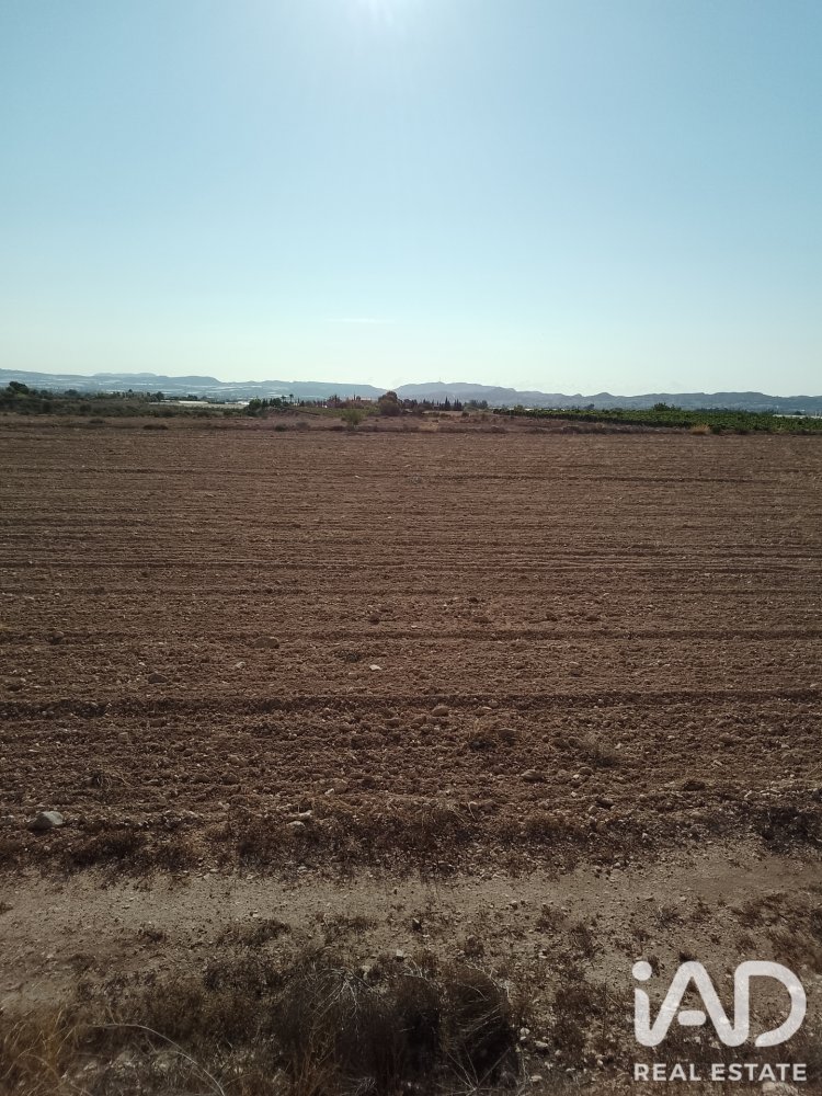 Land plot à Novelda, Alicante, Espagne 75381 m2 No. 198664