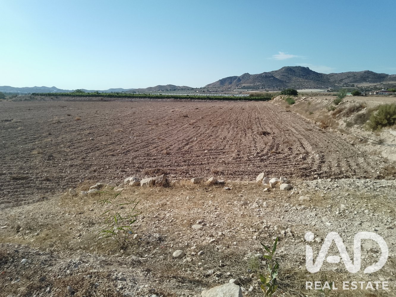 Land plot à Novelda, Alicante, Espagne 75381 m2 No. 198664
