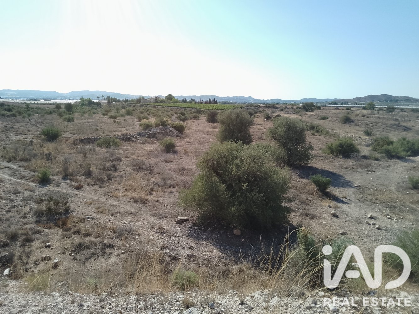 Land plot à Novelda, Alicante, Espagne 75381 m2 No. 198664