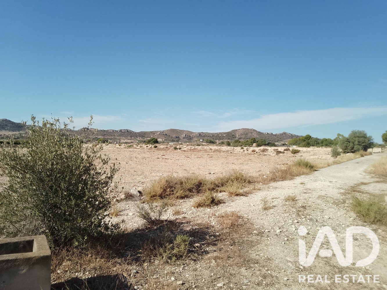 Land plot à Novelda, Alicante, Espagne 75381 m2 No. 198664