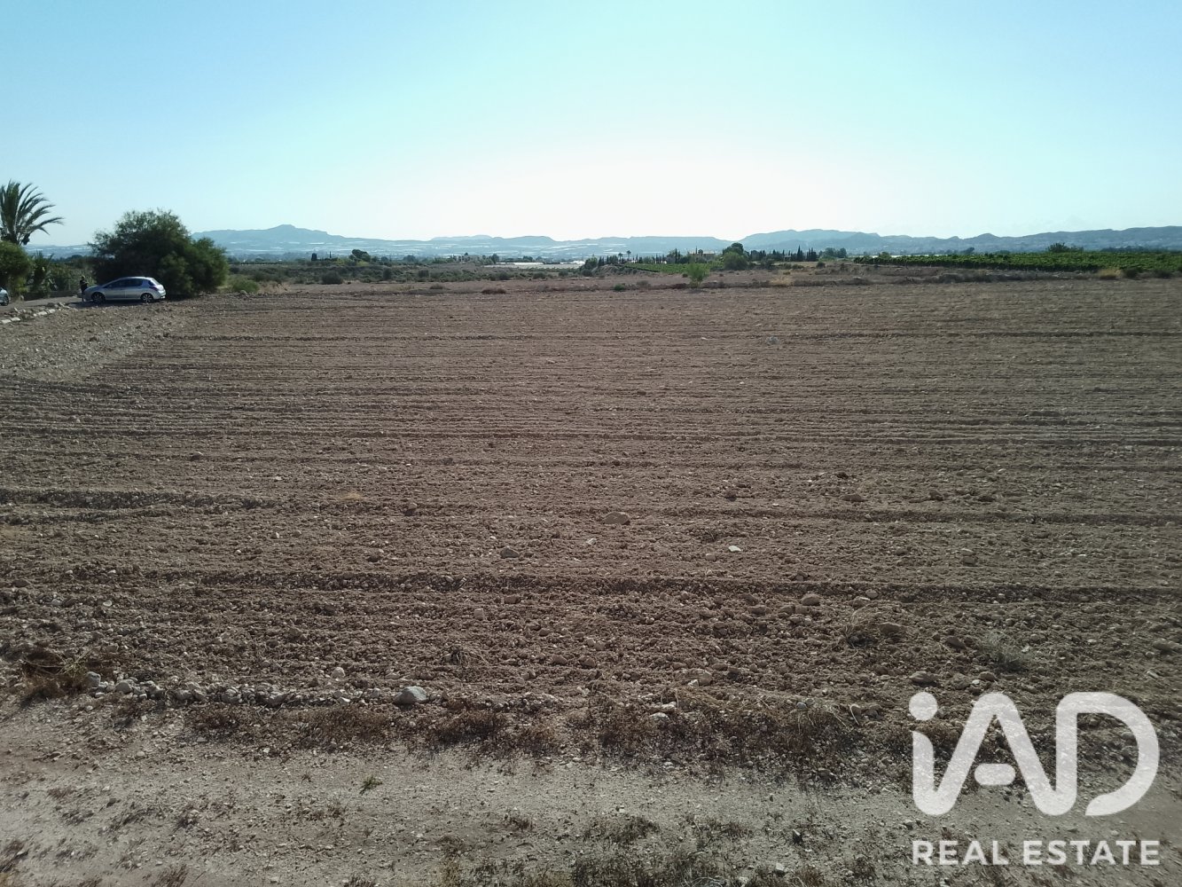 Land plot à Novelda, Alicante, Espagne 75381 m2 No. 198664