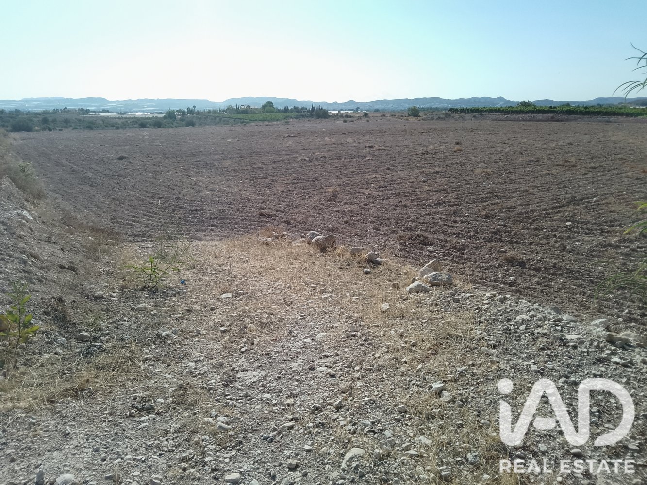 Land plot à Novelda, Alicante, Espagne 75381 m2 No. 198664