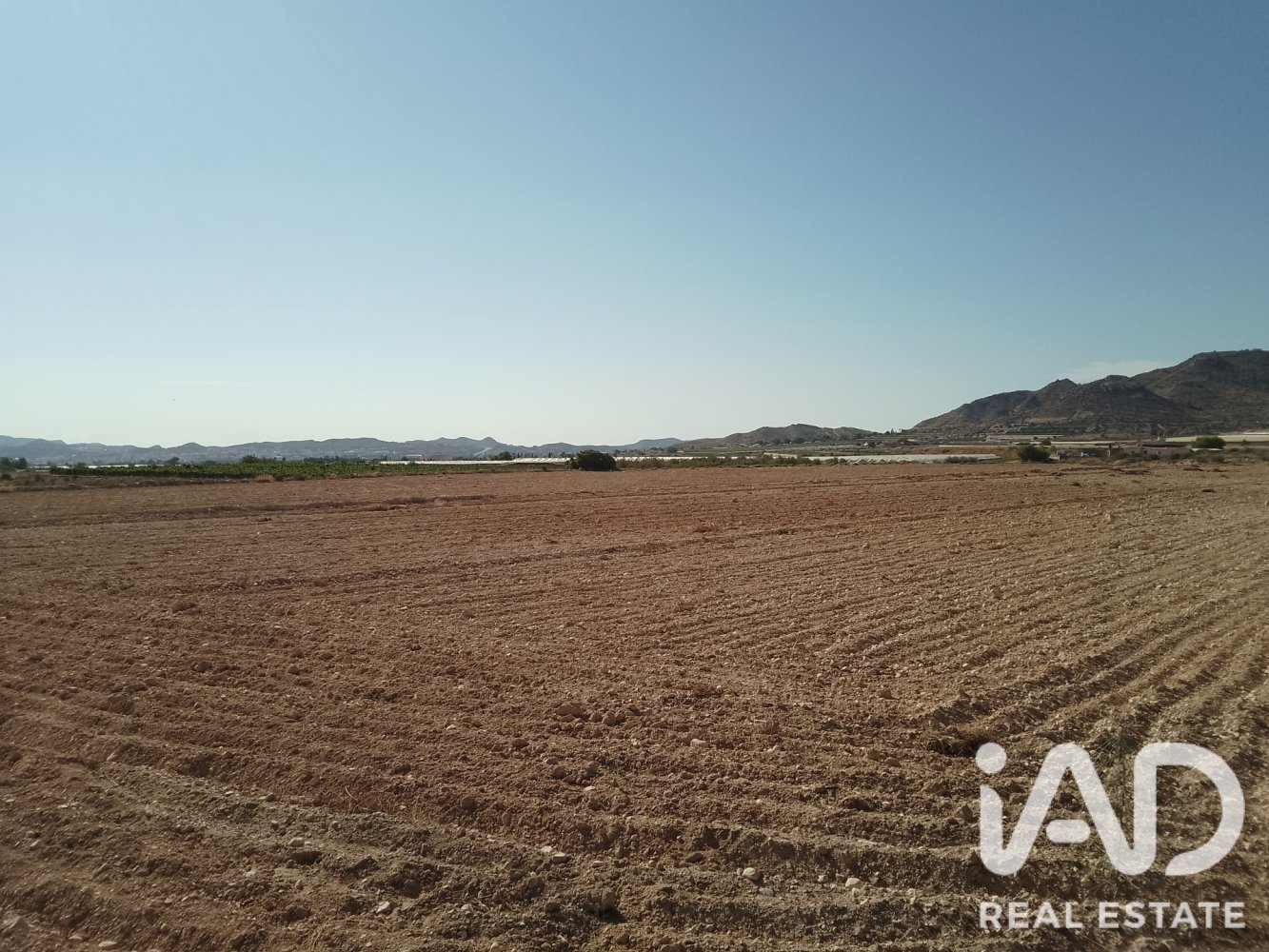 Land plot à Novelda, Alicante, Espagne 75381 m2 No. 198664