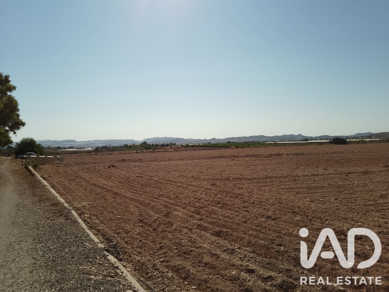 Land plot à Novelda, Alicante, Espagne 75381 m2 No. 198664