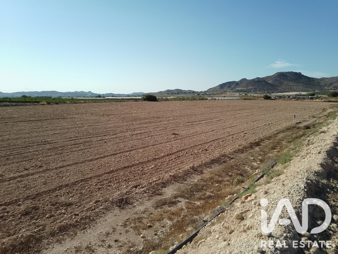 Land plot à Novelda, Alicante, Espagne 75381 m2 No. 198664