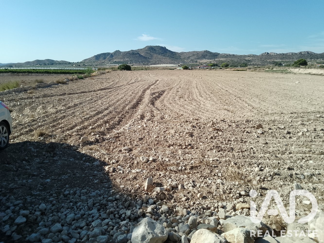 Land plot à Novelda, Alicante, Espagne 75381 m2 No. 198664