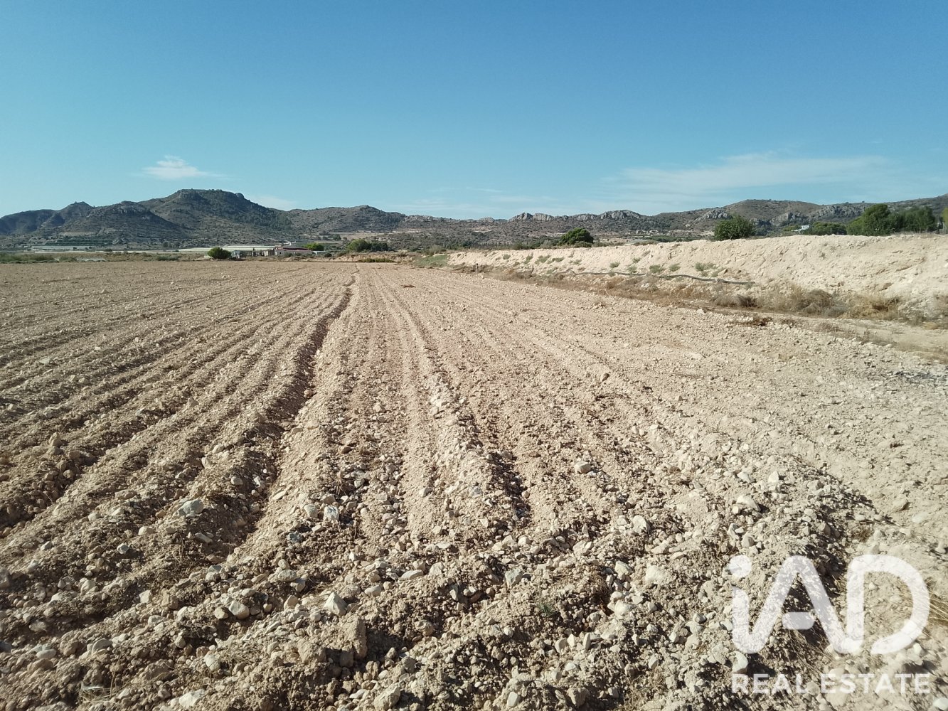 Land plot à Novelda, Alicante, Espagne 75381 m2 No. 198664