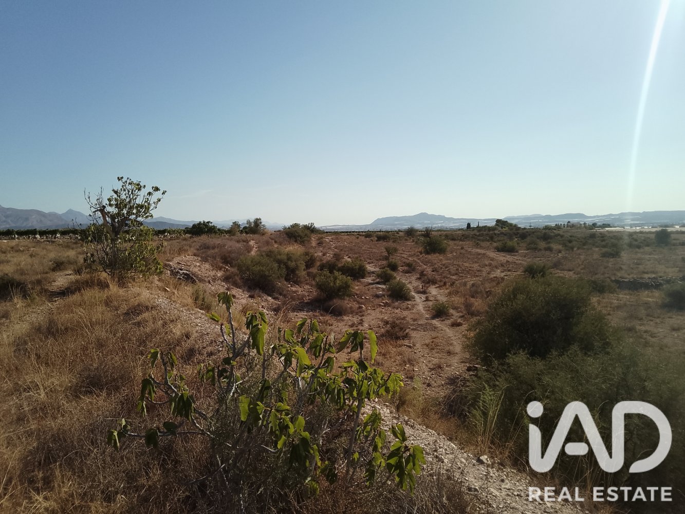 Land plot à Novelda, Alicante, Espagne 75381 m2 No. 198664