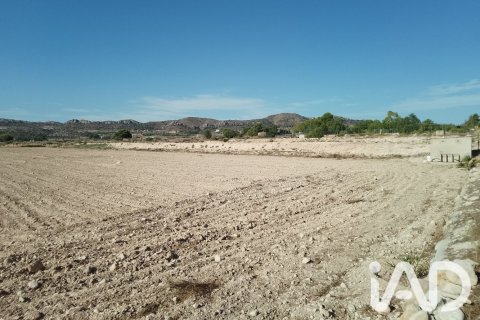 Land plot à Novelda, Alicante, Espagne 75381 m2 No. 198664