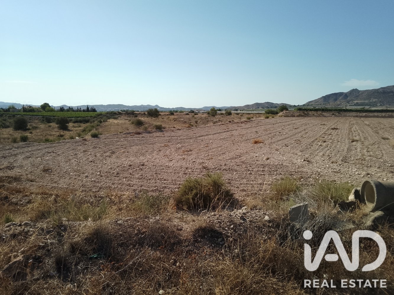 Land plot à Novelda, Alicante, Espagne 75381 m2 No. 198664