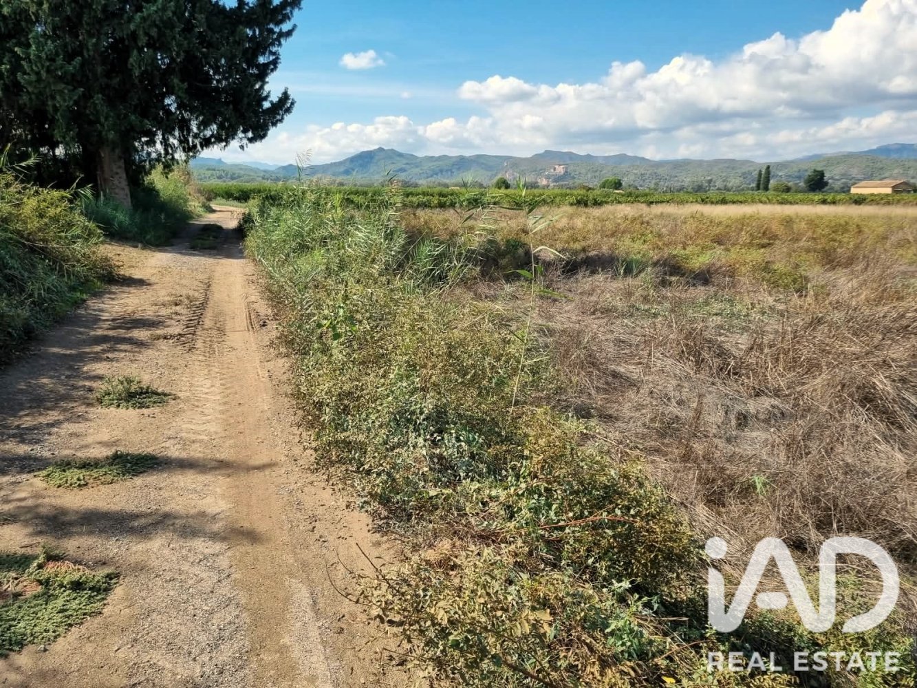 Land plot à Ginestar, Tarragona, Espagne 2510 m2 No. 198602