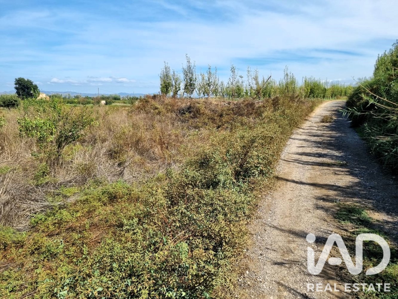 Land plot à Ginestar, Tarragona, Espagne 2510 m2 No. 198602