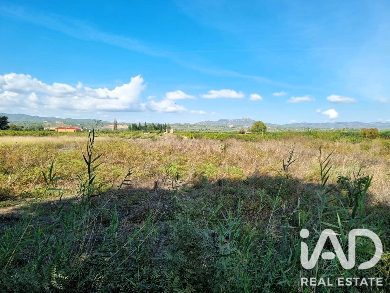 Land plot à Ginestar, Tarragona, Espagne 2510 m2 No. 198602