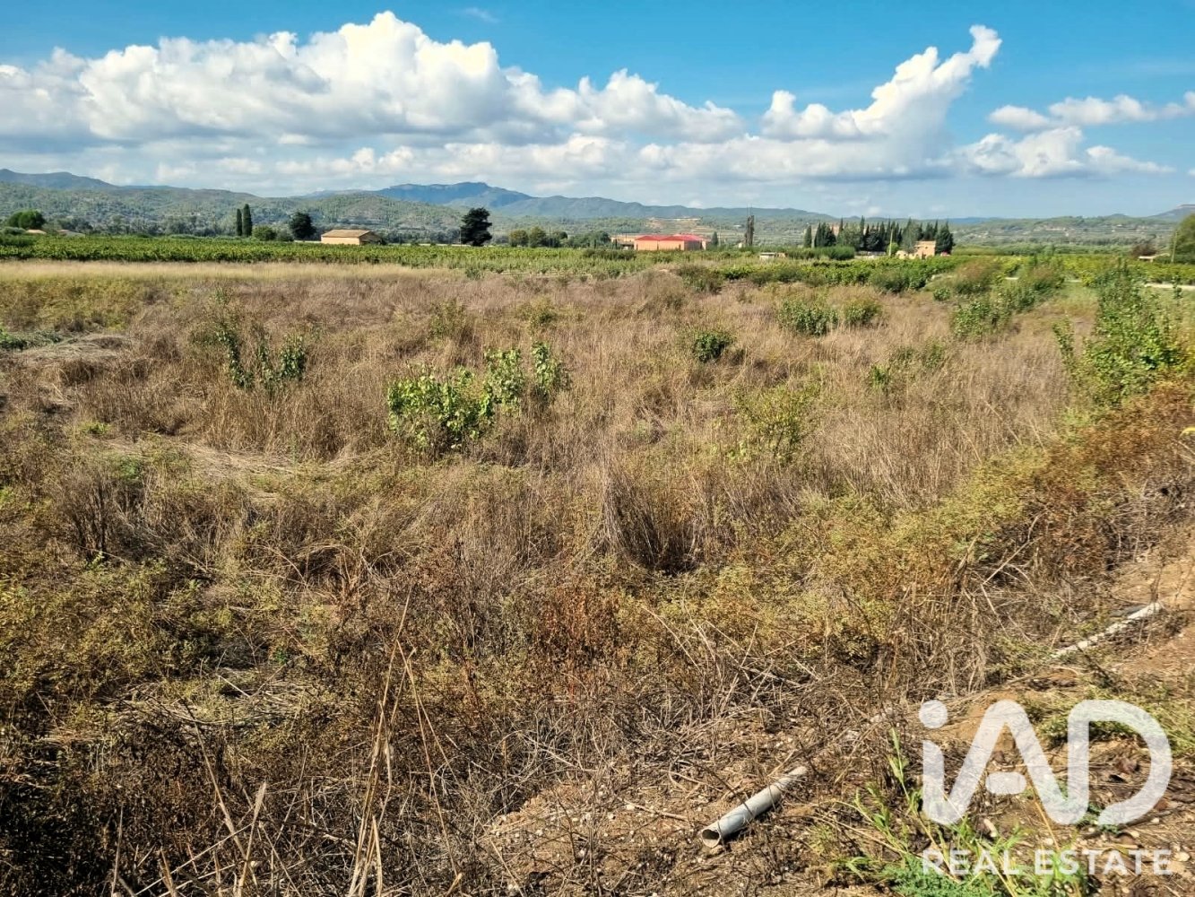 Land plot à Ginestar, Tarragona, Espagne 2510 m2 No. 198602