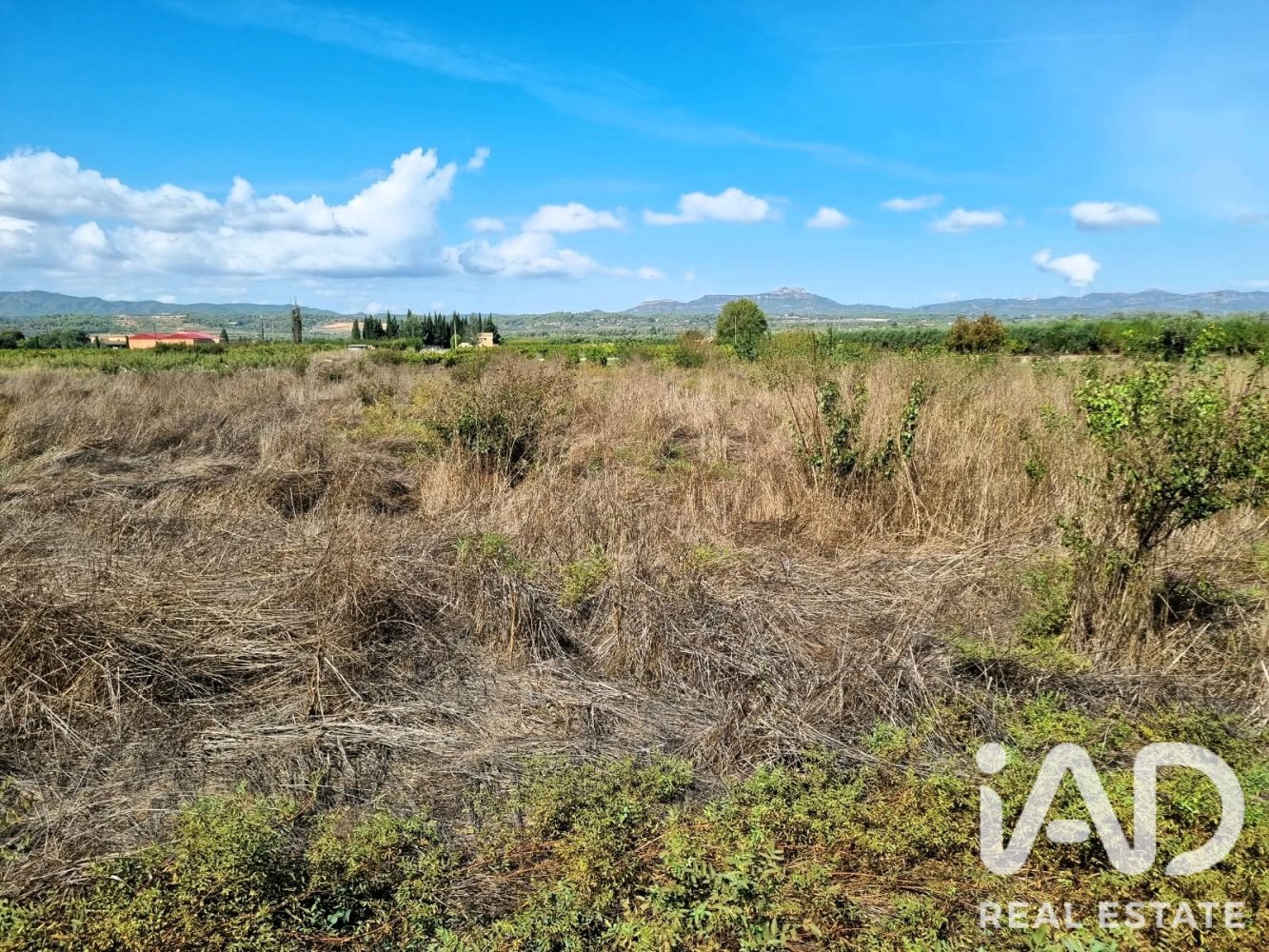 Land plot à Ginestar, Tarragona, Espagne 2510 m2 No. 198602