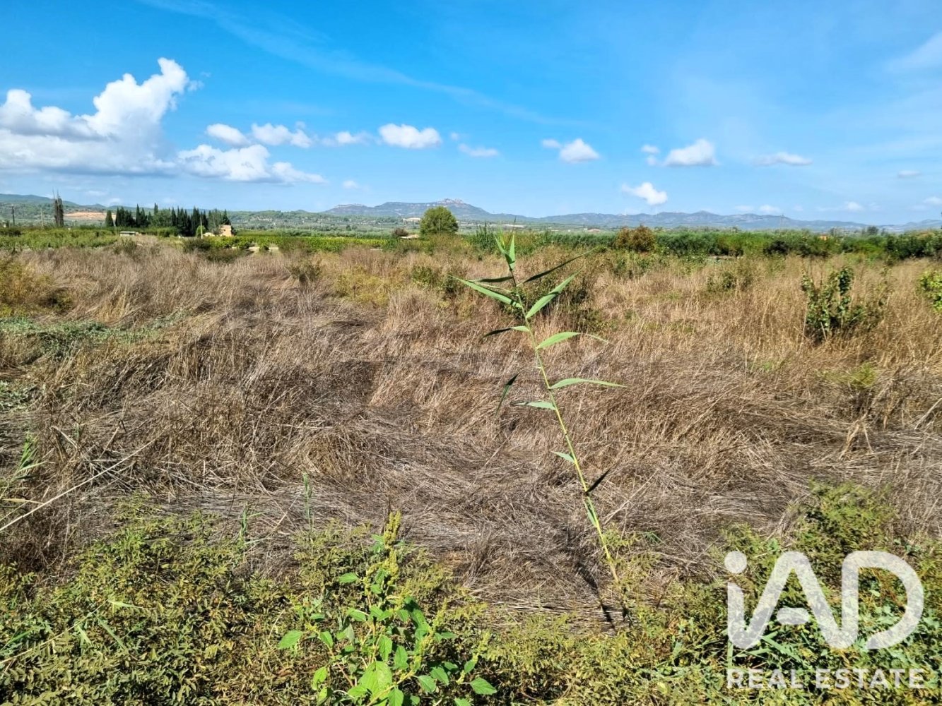 Land plot à Ginestar, Tarragona, Espagne 2510 m2 No. 198602