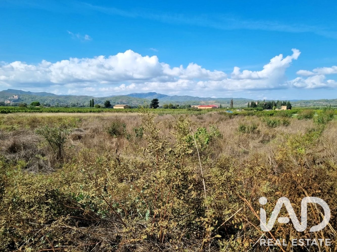 Land plot à Ginestar, Tarragona, Espagne 2510 m2 No. 198602