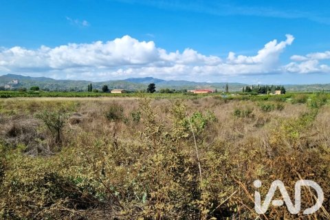 Land plot à Ginestar, Tarragona, Espagne 2510 m2 No. 198602