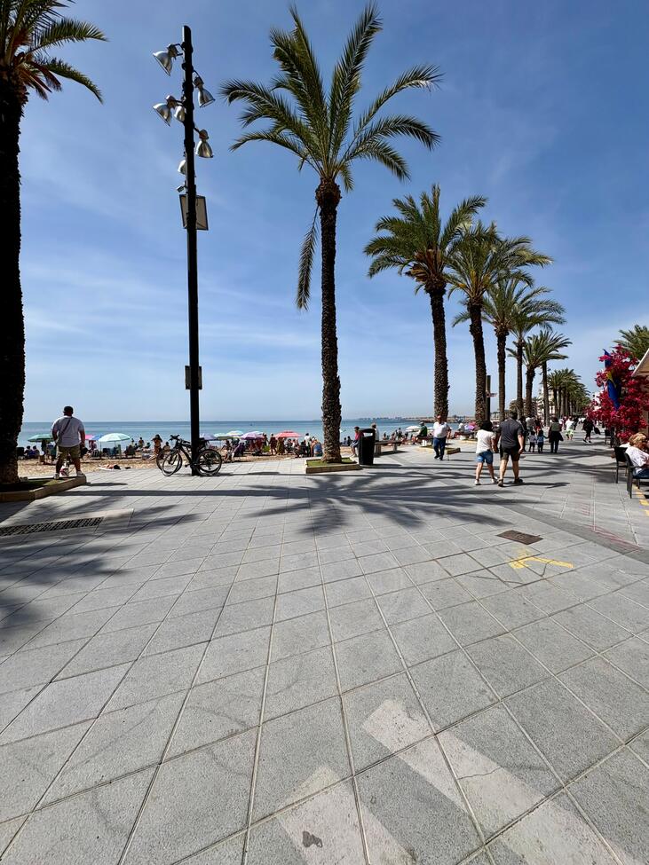 Apartment in Torrevieja, Alicante, Spain 3 bedrooms, 99 sq.m. No. 198973