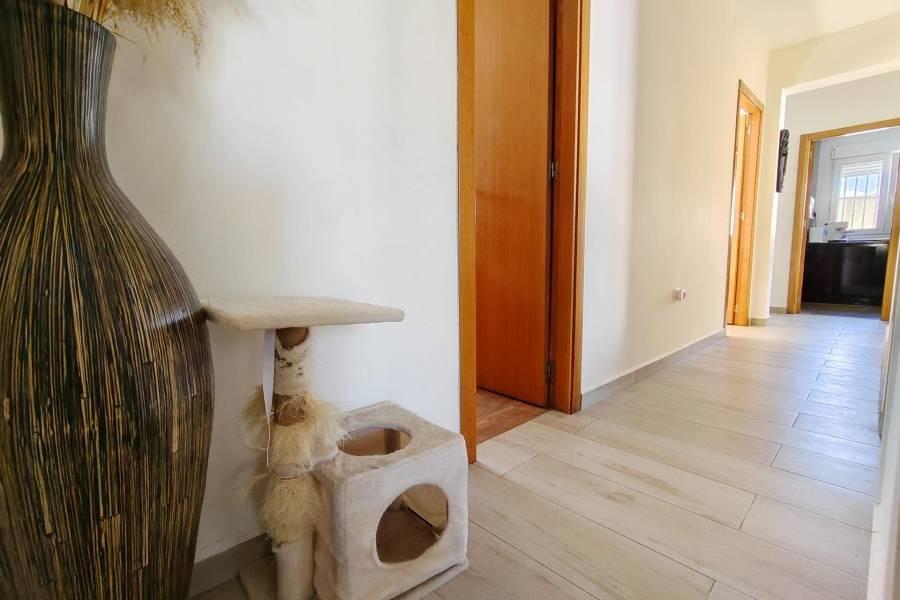 Willa w Torrevieja, Alicante, Hiszpania 3 sypialnie, 140 mkw. nr 199862