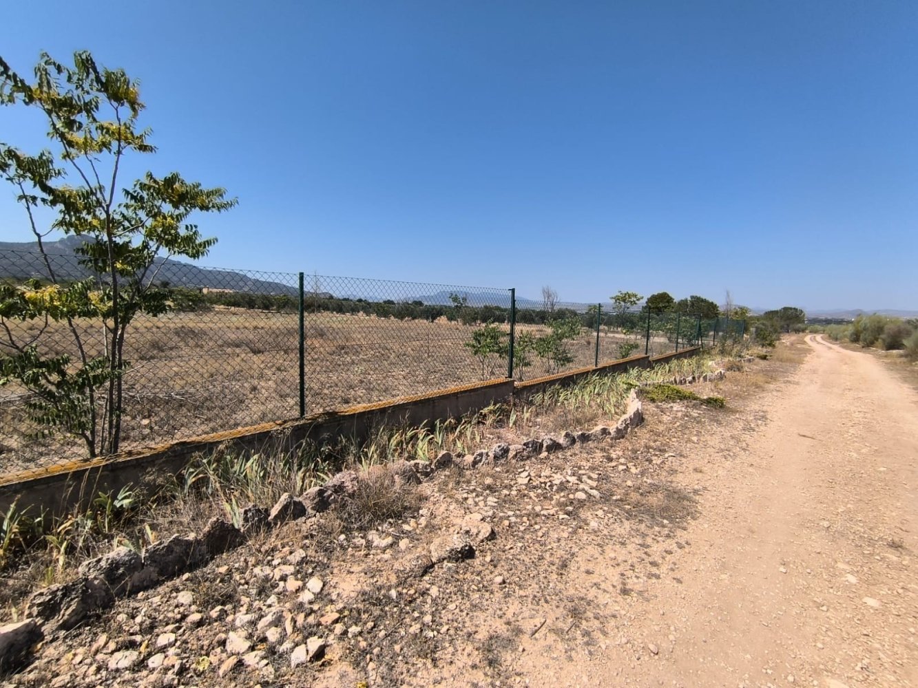 Finca en Villena, Alicante, España 6 dormitorios, 606 m2 No. 198923
