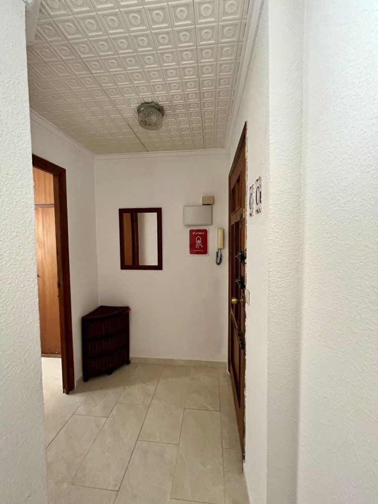 Apartment à Torrevieja, Alicante, Espagne 3 chambres, 96 m2 No. 197903
