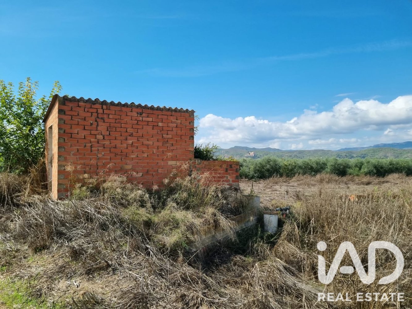 Land plot à Ginestar, Tarragona, Espagne 6618 m2 No. 198603