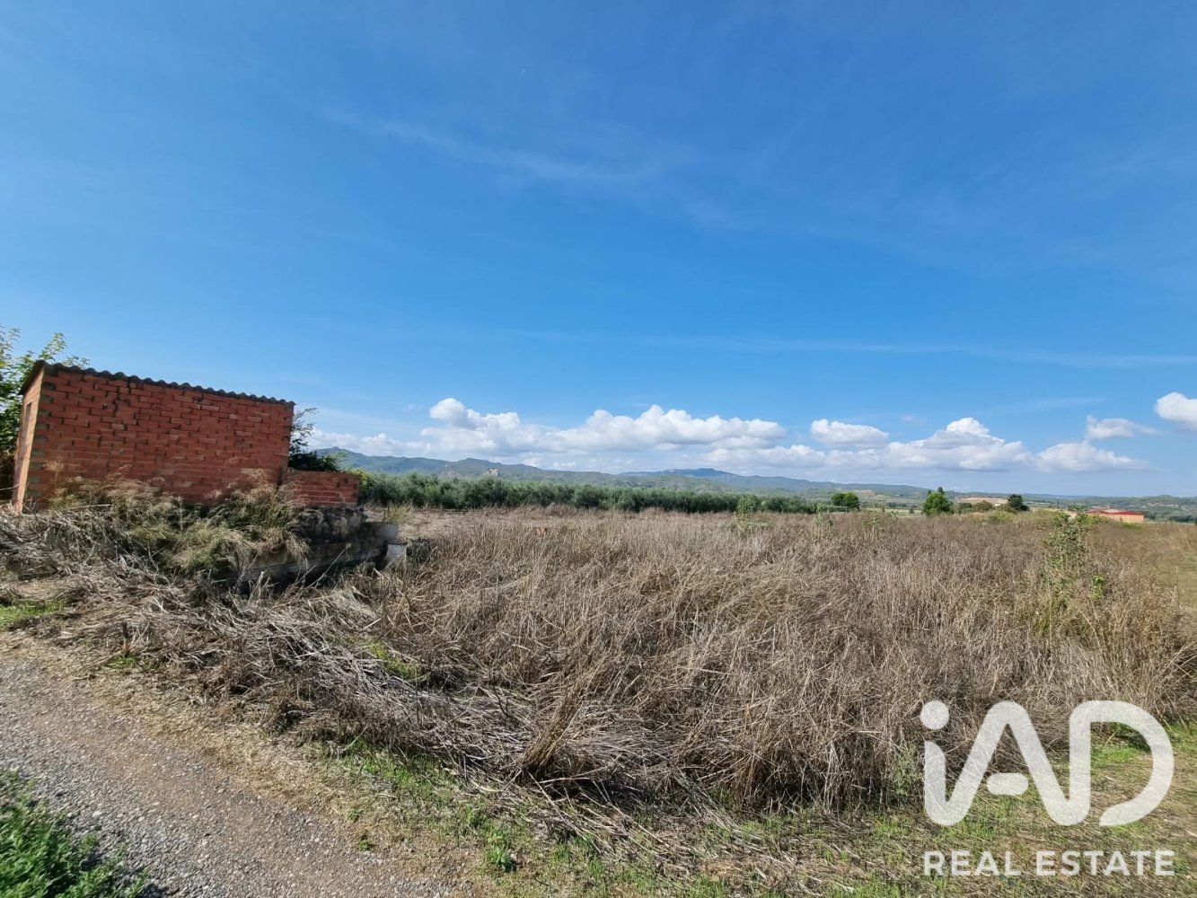 Land plot à Ginestar, Tarragona, Espagne 6618 m2 No. 198603