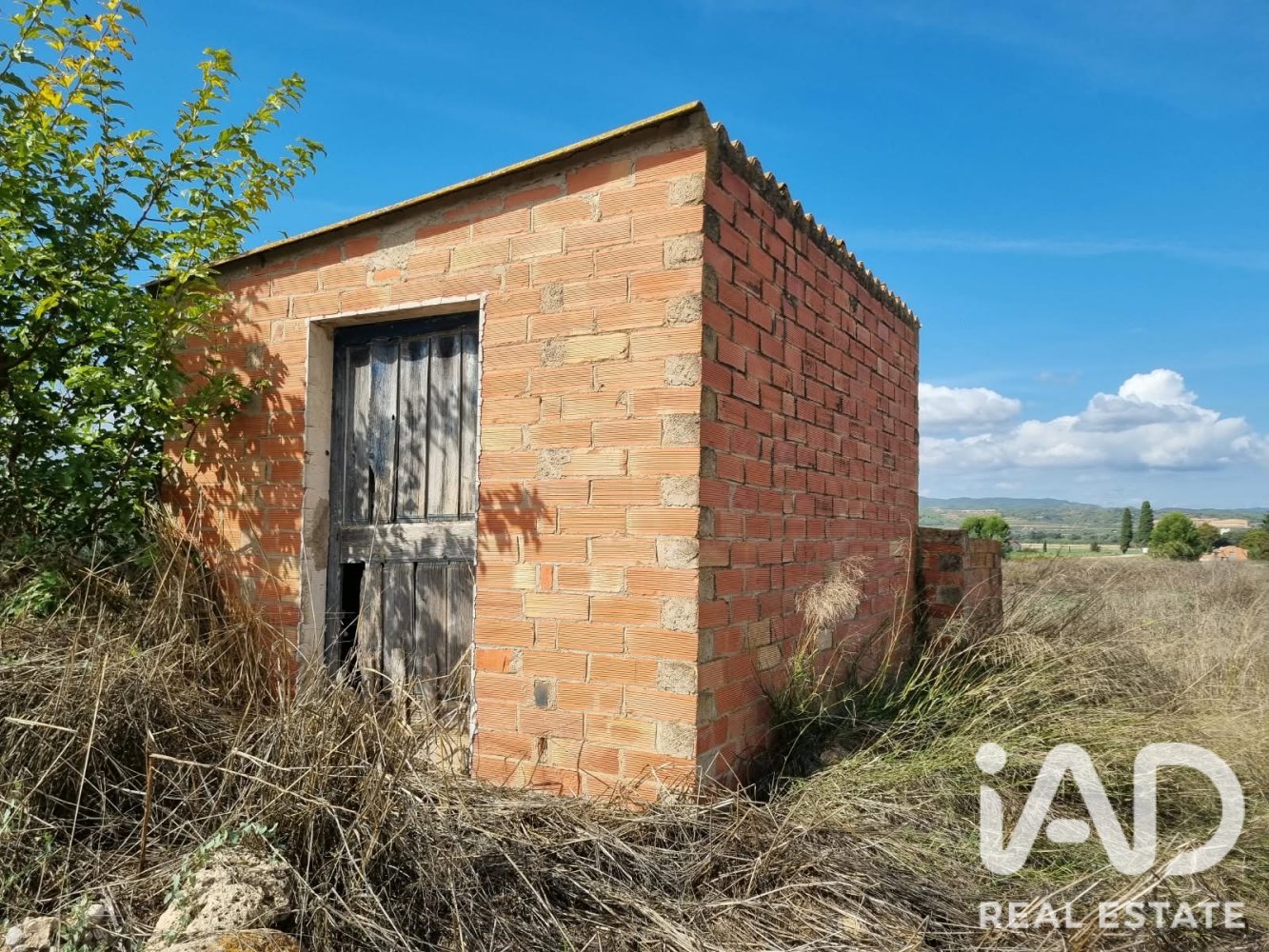 Land plot à Ginestar, Tarragona, Espagne 6618 m2 No. 198603