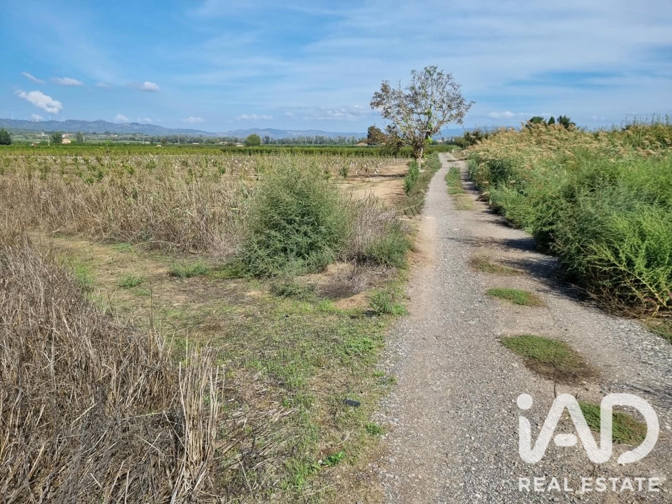 Land plot à Ginestar, Tarragona, Espagne 6618 m2 No. 198603