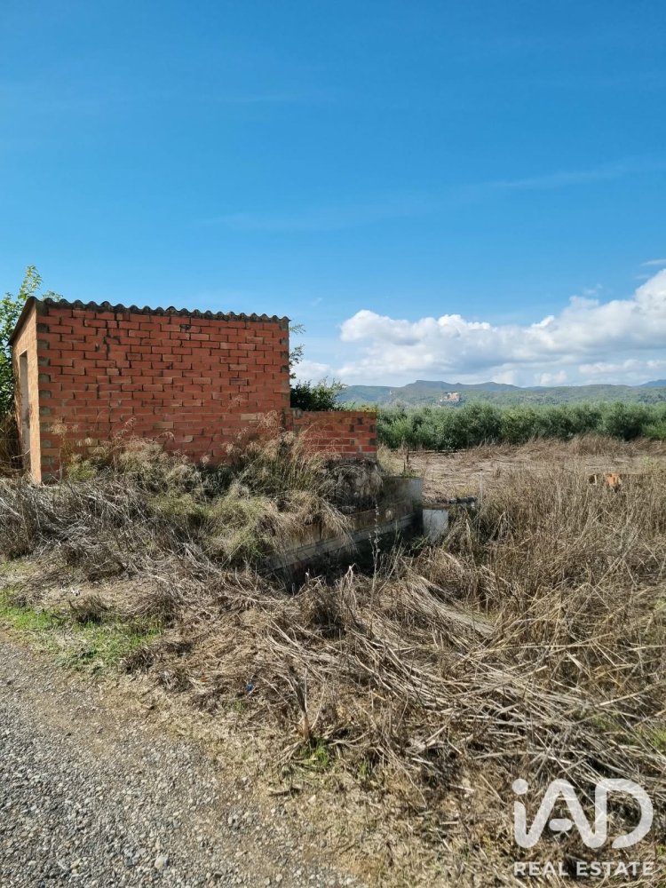 Land plot à Ginestar, Tarragona, Espagne 6618 m2 No. 198603