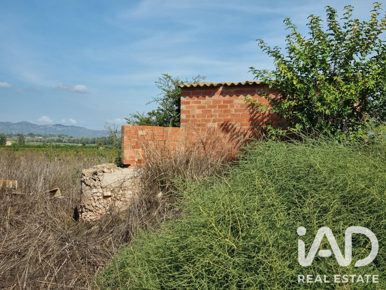 Land plot à Ginestar, Tarragona, Espagne 6618 m2 No. 198603