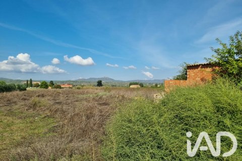 Land plot à Ginestar, Tarragona, Espagne 6618 m2 No. 198603