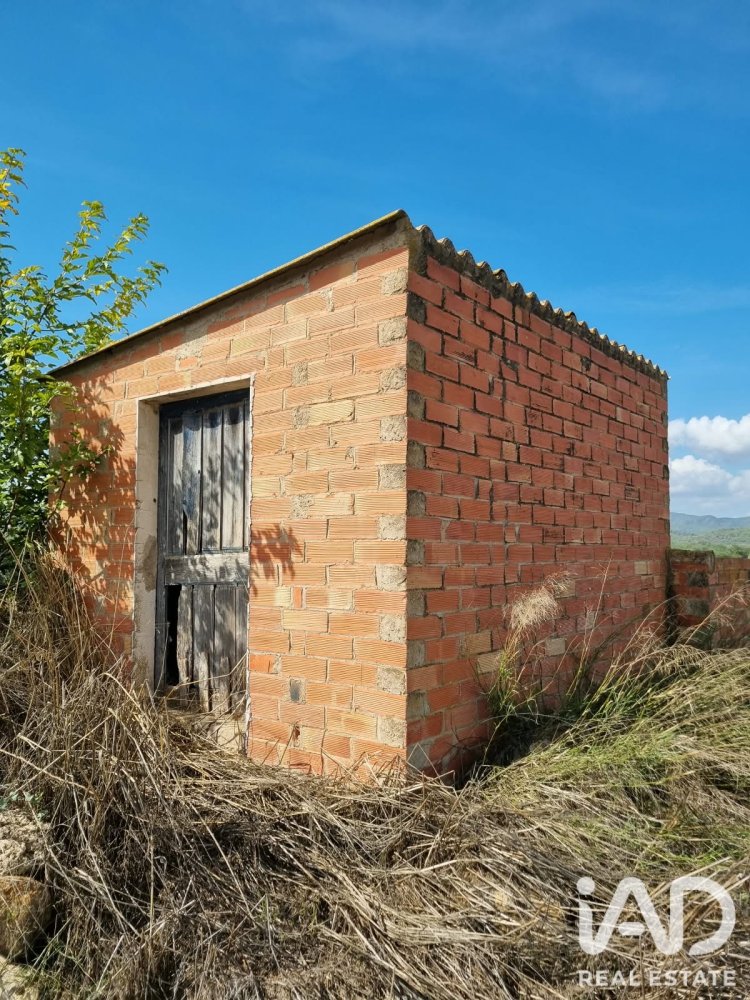 Land plot à Ginestar, Tarragona, Espagne 6618 m2 No. 198603