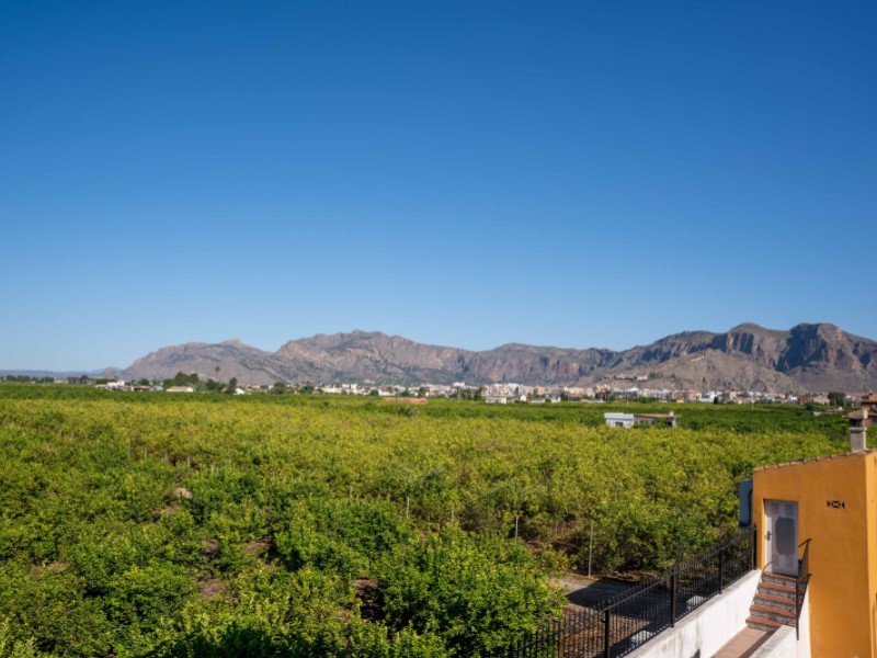 Villa in Orihuela, Alicante, Spain 5 bedrooms, 433 sq.m. No. 199103