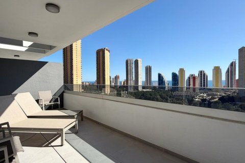 Apartament w Benidorm, Alicante, Hiszpania 2 sypialnie, 137 mkw. nr 197951