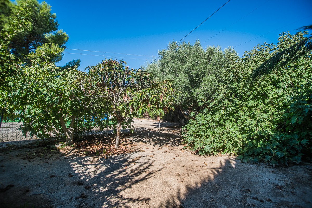 Villa a Orihuela, Alicante, Spagna 4 camere da letto, 362 mq. N° 197427